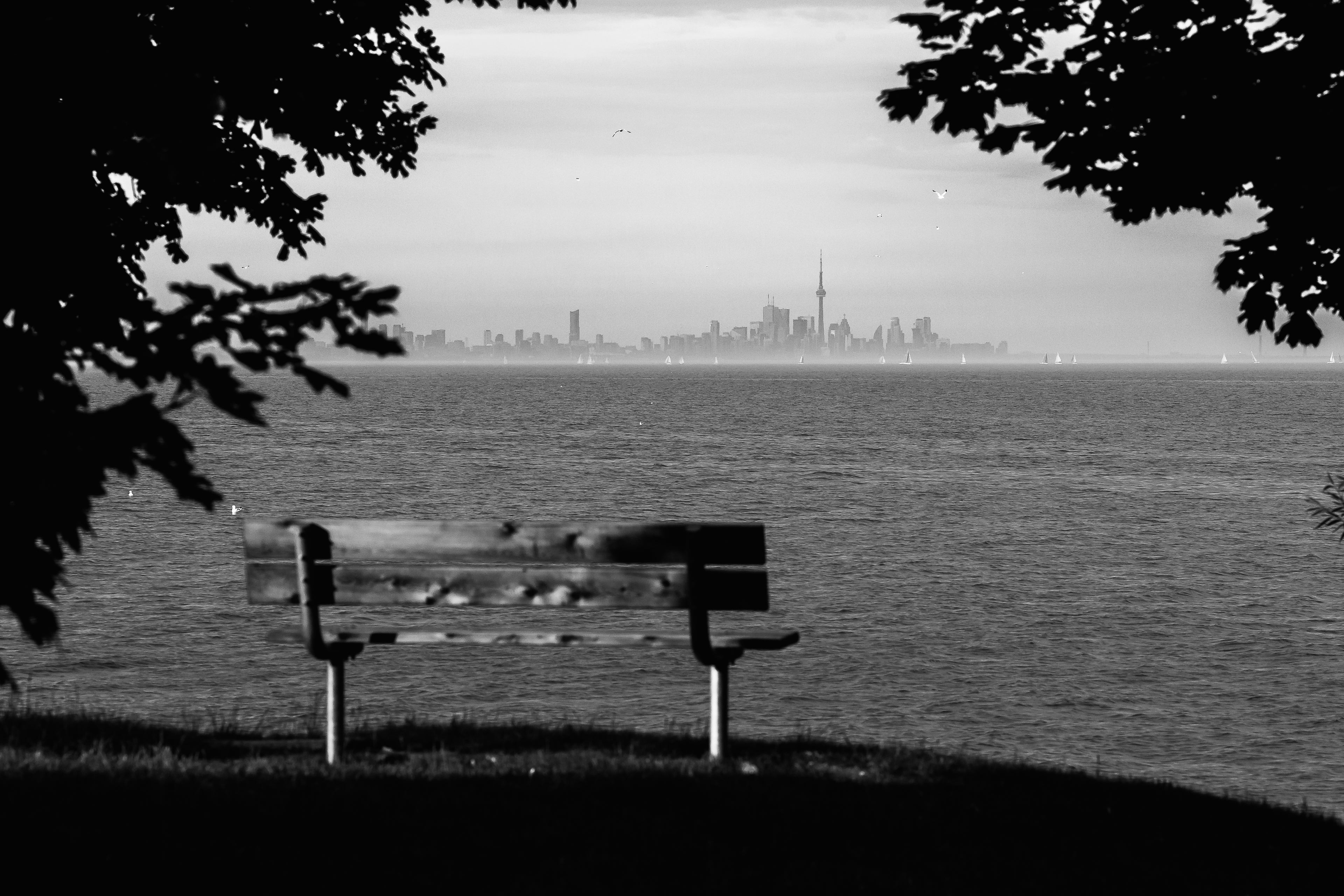 Waiting in Silence